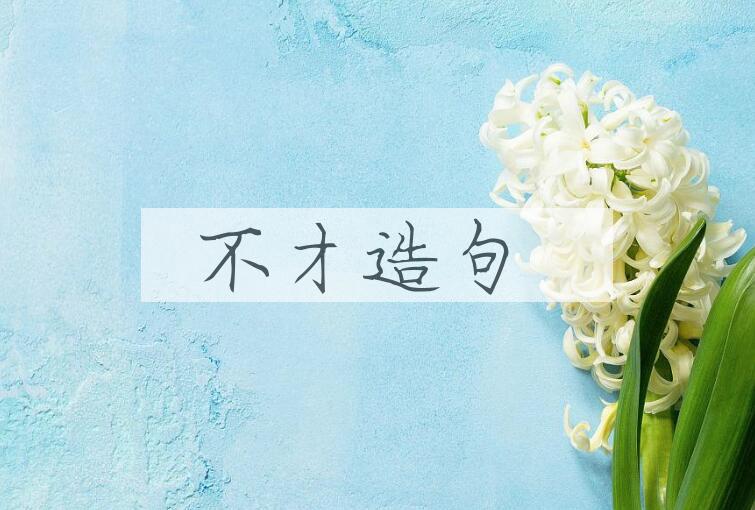 用不才造句