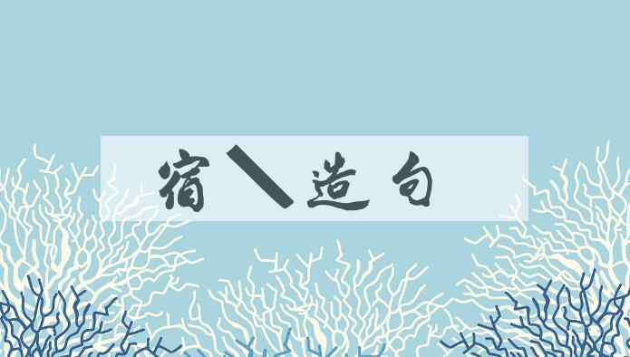用宿瘤造句