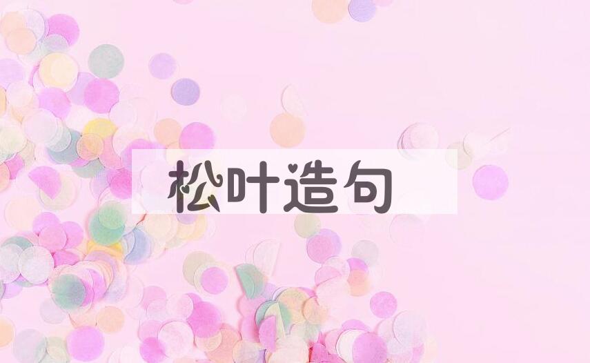 用松叶造句