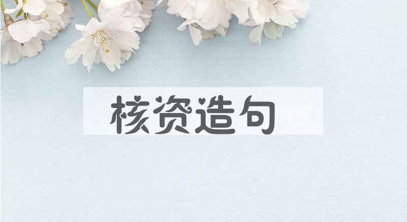 用核资造句