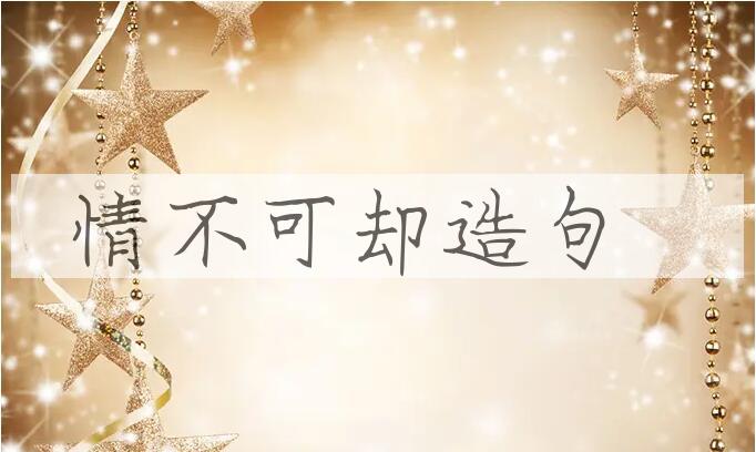 用情不可却造句