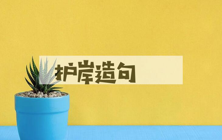 用护岸造句