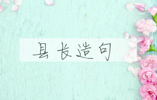 用县长造句