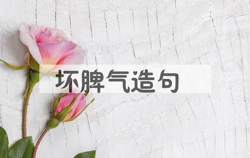 用坏脾气造句