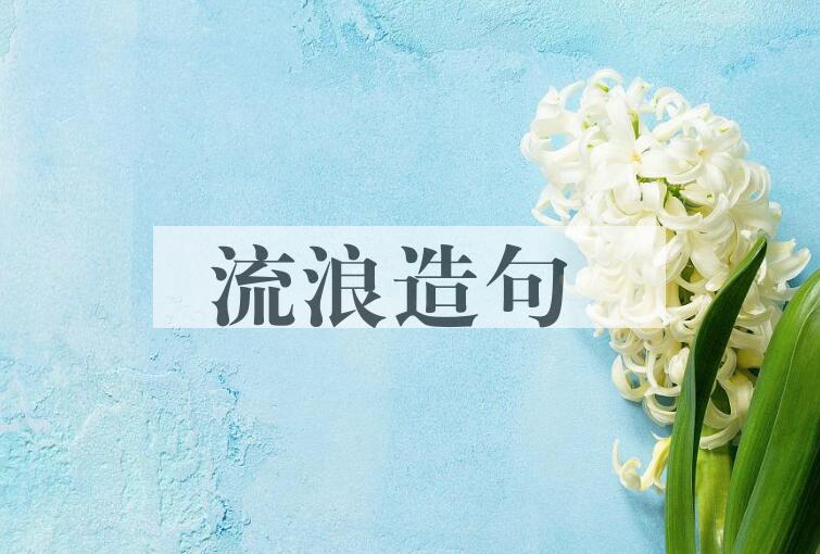 用流浪造句
