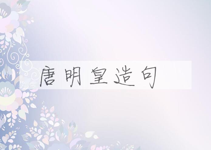 用唐明皇造句