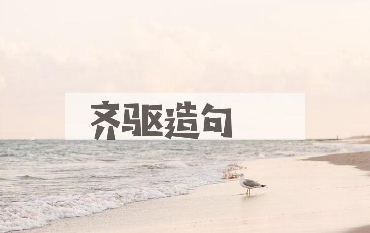 用齐驱造句