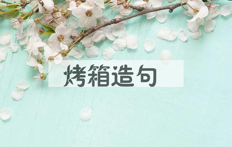 用烤箱造句