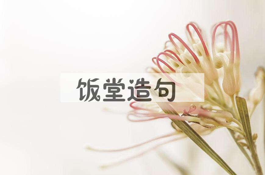 用饭堂造句