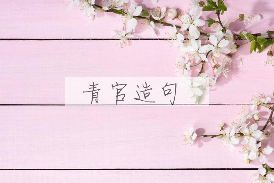 用青官造句