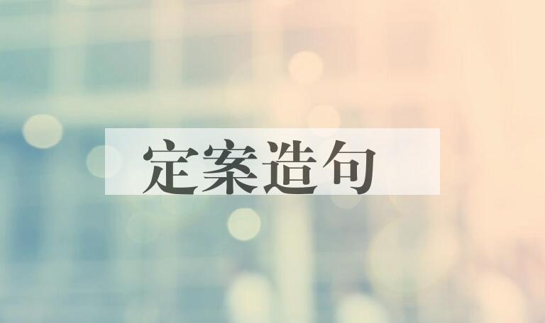 用定案造句