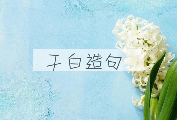 用干白造句