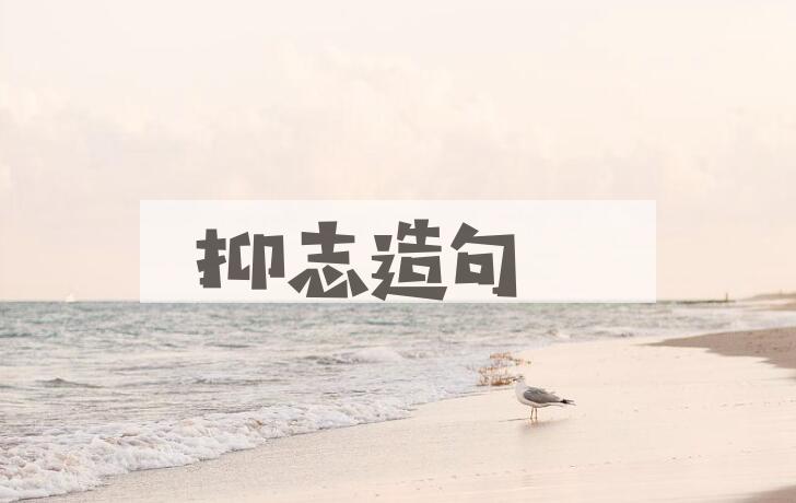 用抑志造句