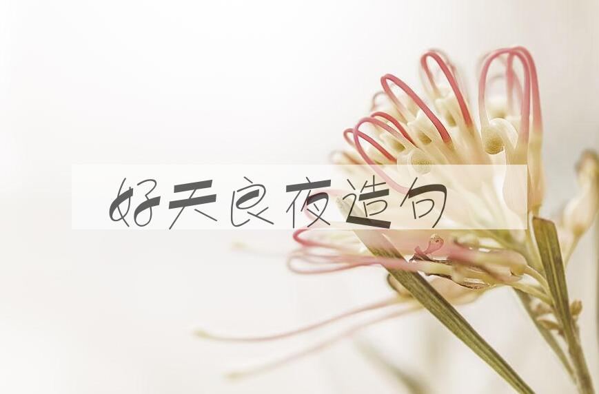 用好天良夜造句