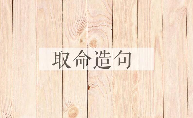 用取命造句