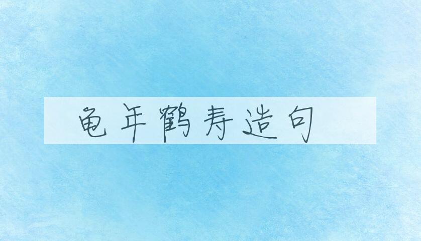 用龟年鹤寿造句