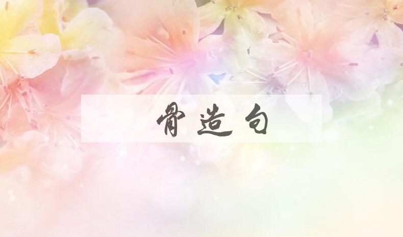 用髌骨造句