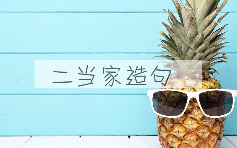 用二当家造句