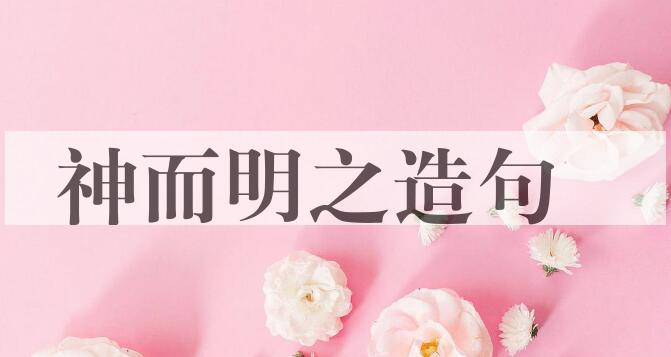 用神而明之造句