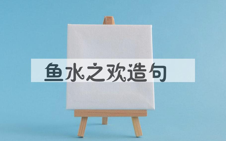 用鱼水之欢造句