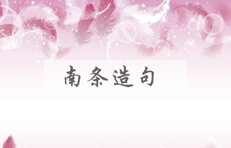 用南条造句