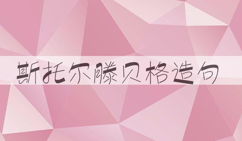 用斯托尔滕贝格造句