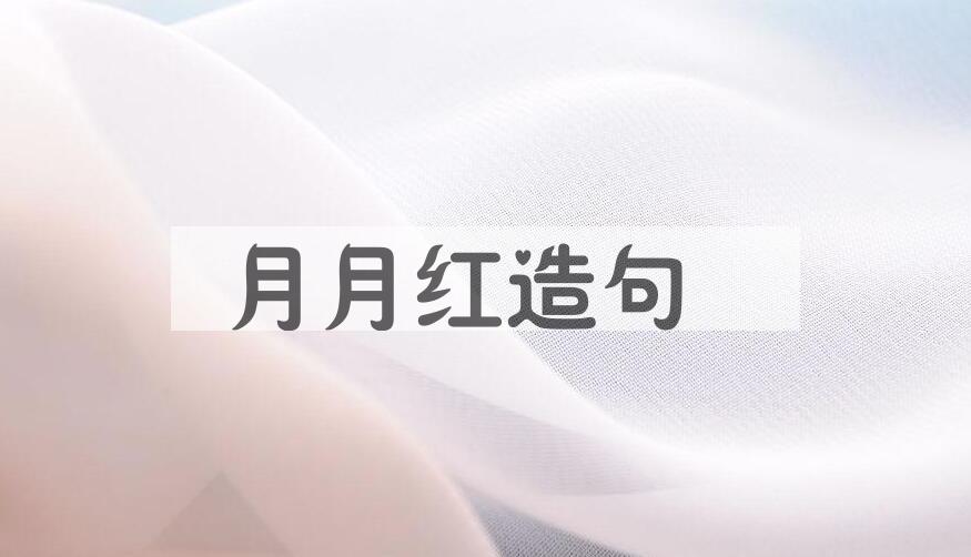 用月月红造句