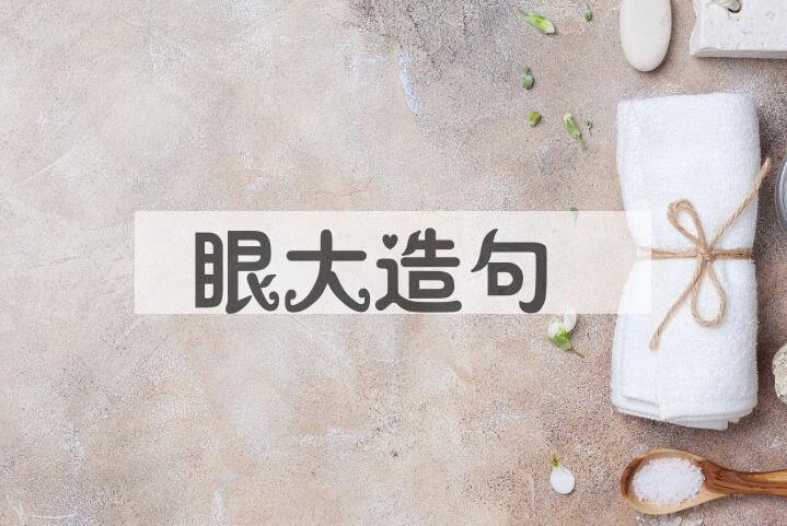 用眼大造句