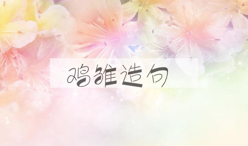 用鸡雏造句