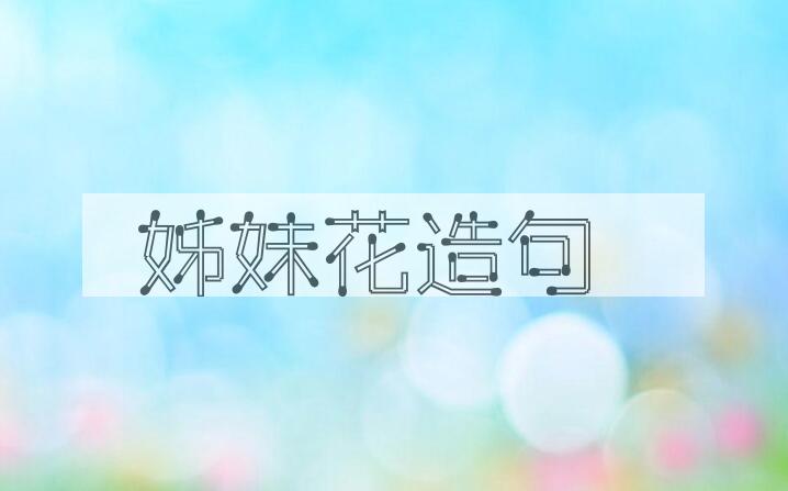 用姊妹花造句