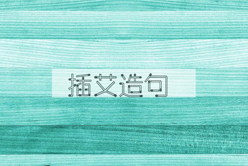 用插艾造句