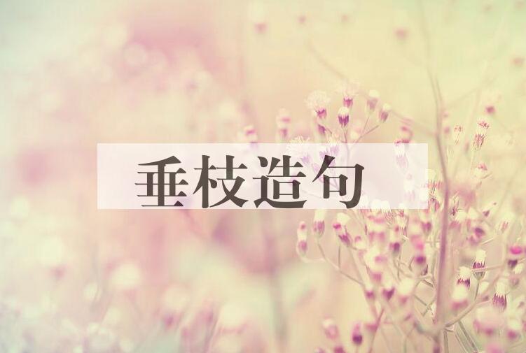 用垂枝造句