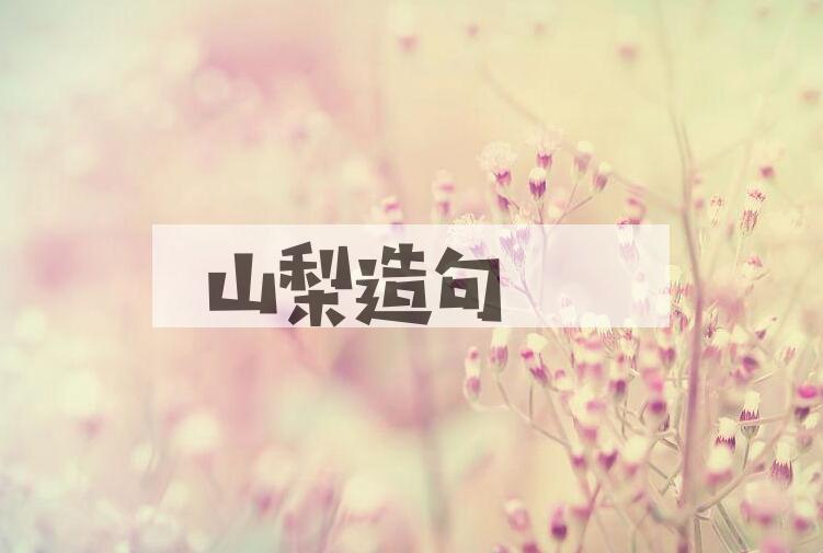 用山梨造句