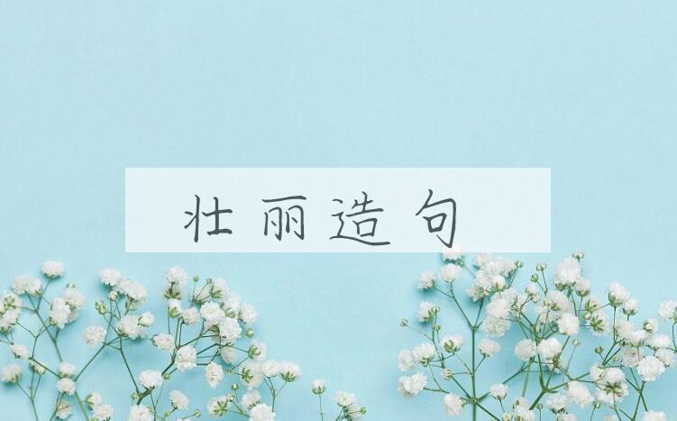 用壮丽造句