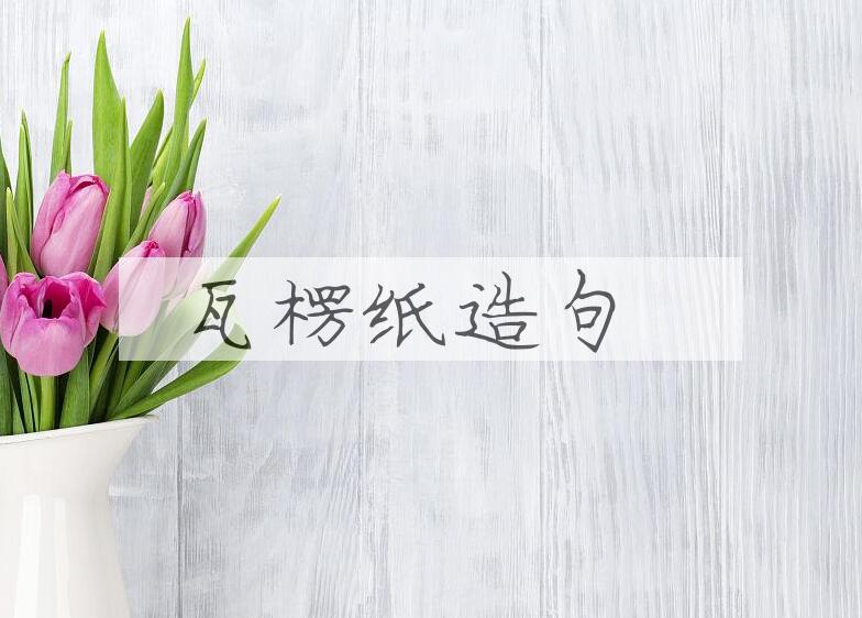 用瓦楞纸造句