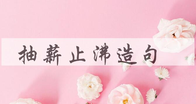 用抽薪止沸造句