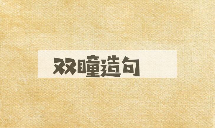 用双瞳造句