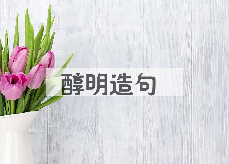 用醇明造句