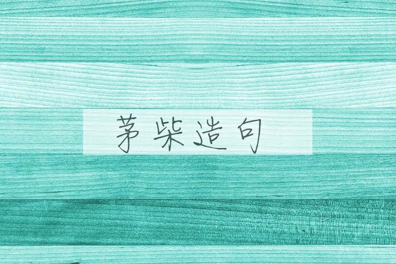 用茅柴造句