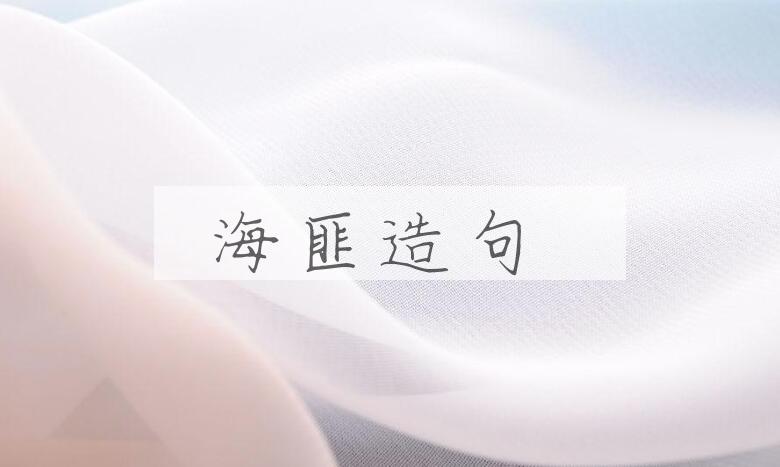 用海匪造句