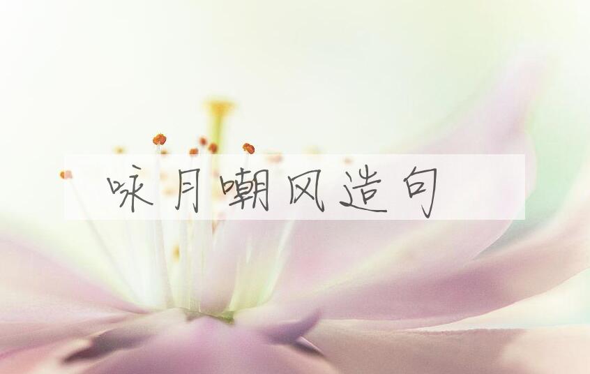 用咏月嘲风造句