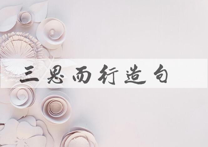 用三思而行造句