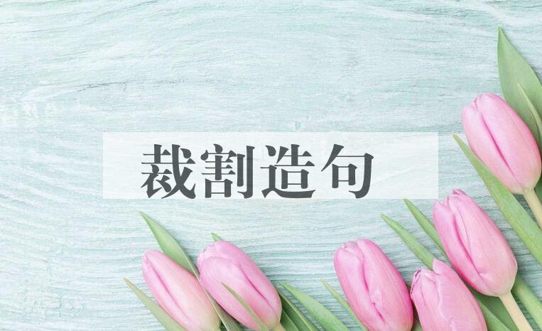 用裁割造句