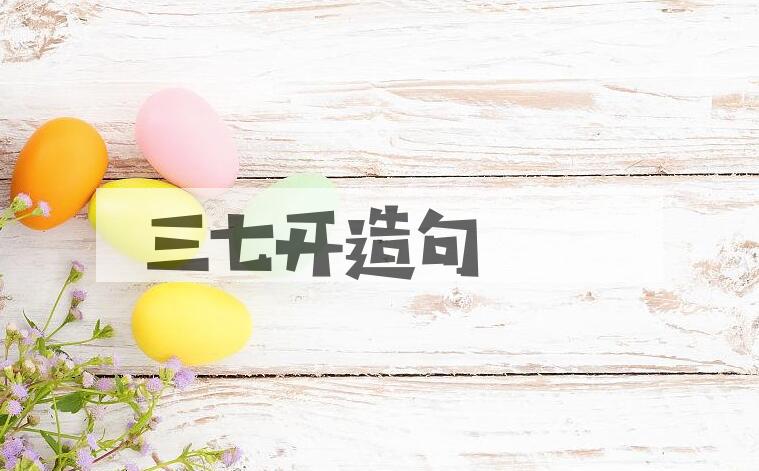用三七开造句