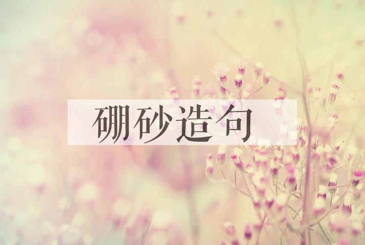 用硼砂造句