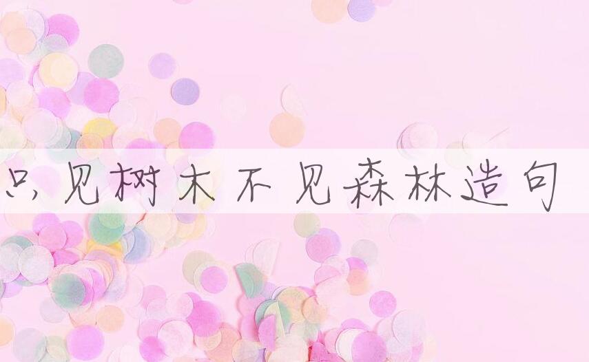 用只见树木，不见森林造句