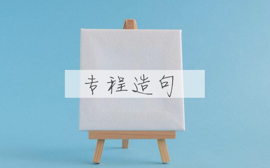 用专程造句