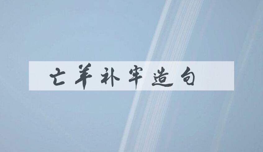 用亡羊补牢造句