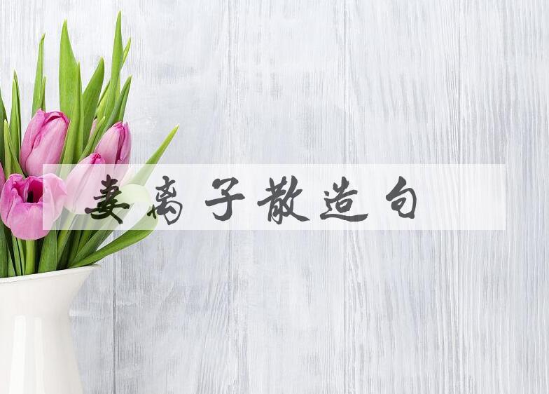 用妻离子散造句