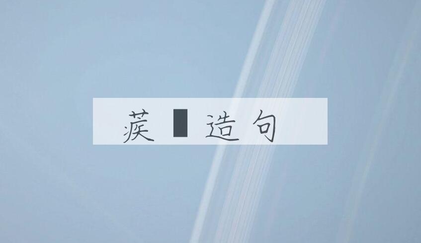 用蒺蔾造句